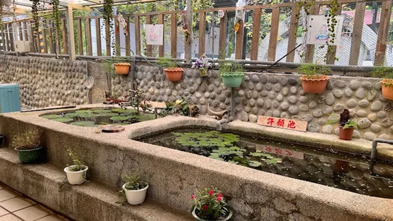 庭院水景與牆邊植栽